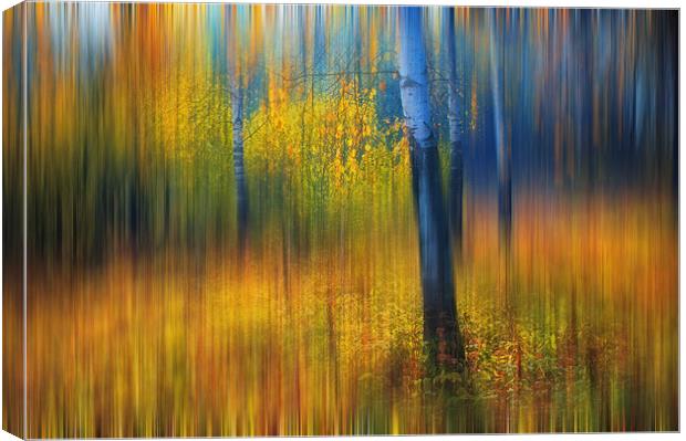 In the Golden Woods. Impressionism  Canvas Print by Jenny Rainbow