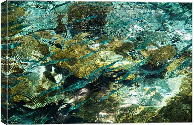 Abstract of the Underwater World. Production by Na Canvas Print by Jenny Rainbow