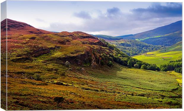 Where the Soul is Flying. Wicklow Hills. Ireland Canvas Print by Jenny Rainbow