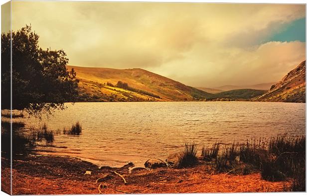 In a Magic Place in a Mystic Mood. Lough Dan. Wick Canvas Print by Jenny Rainbow