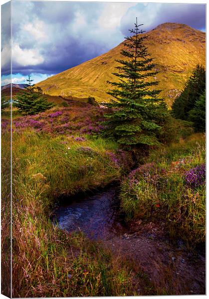 Beauty all Around. Rest and Be Thankful. Scotland Canvas Print by Jenny Rainbow