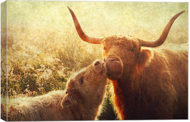 Mammy Love. Highlands Trossachs. Scotland Canvas Print by Jenny Rainbow