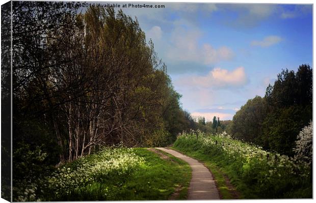  Spring Path Along the River. Netherlands  Canvas Print by Jenny Rainbow