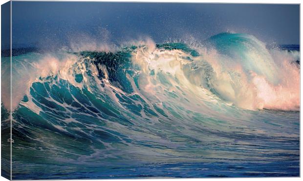  Blue Power of the Ocean   Canvas Print by Jenny Rainbow