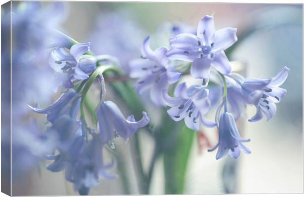  Ethereal BlueBells  Canvas Print by Jenny Rainbow