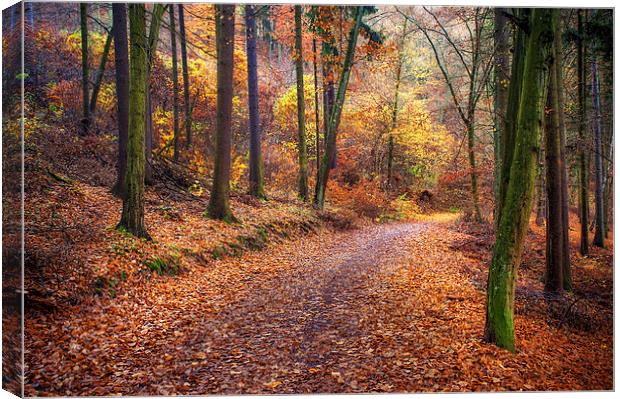 Path Through the Colorful  Autumn Canvas Print by Jenny Rainbow
