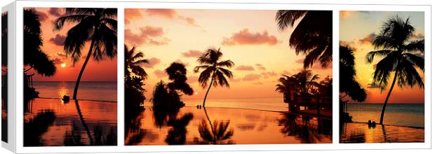  Tropical Sunset. Triptych Canvas Print by Jenny Rainbow