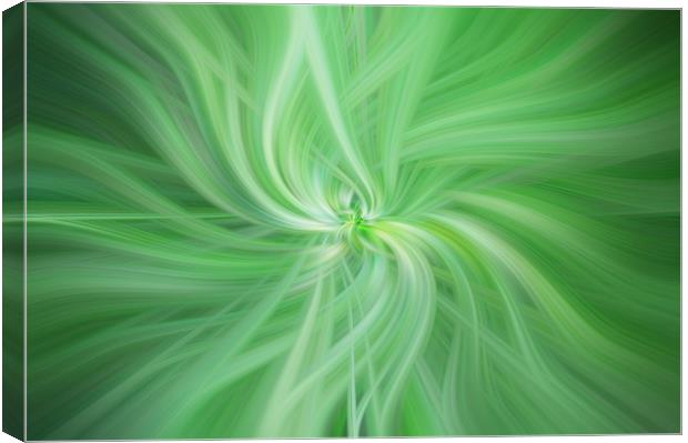 Green Colored Abstract. Concept Health Canvas Print by Jenny Rainbow