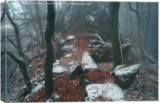 Rocky Path.  In Mysterious Woods                   Canvas Print by Jenny Rainbow