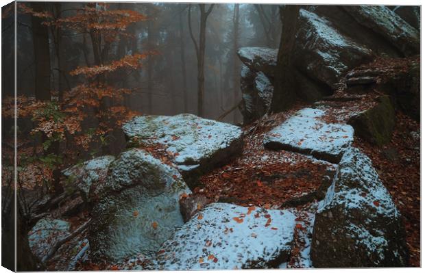 Gothic Rocks. In Mysterious Woods                  Canvas Print by Jenny Rainbow