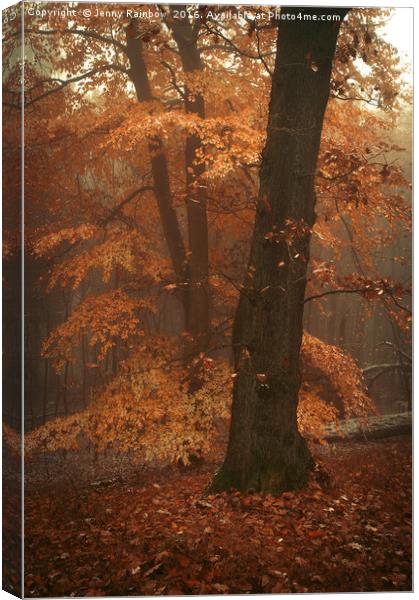 Misty Woods Canvas Print by Jenny Rainbow