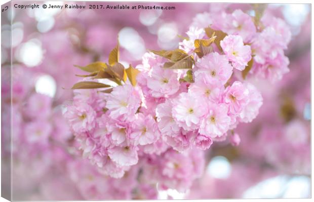 Kwanzan Cherry tree blooming branch Canvas Print by Jenny Rainbow
