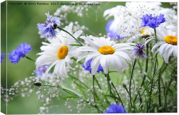 Daisies and Cornflowers                            Canvas Print by Jenny Rainbow