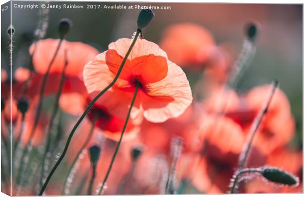 Red Poppies Remembrance 2 Canvas Print by Jenny Rainbow