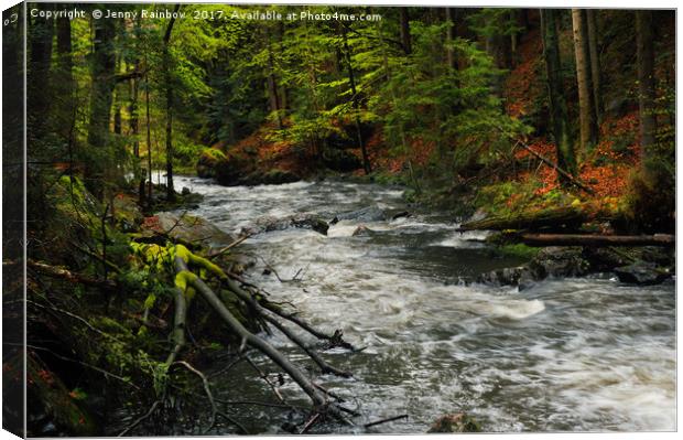 Spring Stream in Woods                             Canvas Print by Jenny Rainbow