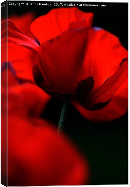 Flaming Red Poppies Canvas Print by Jenny Rainbow