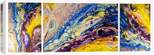 Rainbow Feathers Triptych. Fluid Acrylic Painting Canvas Print by Jenny Rainbow