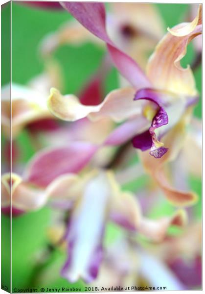 Sensual Touch of Exotic II. Orchid II Canvas Print by Jenny Rainbow