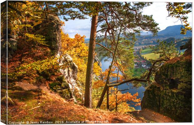 Trees On The Edge. Saxon Switzerland Canvas Print by Jenny Rainbow