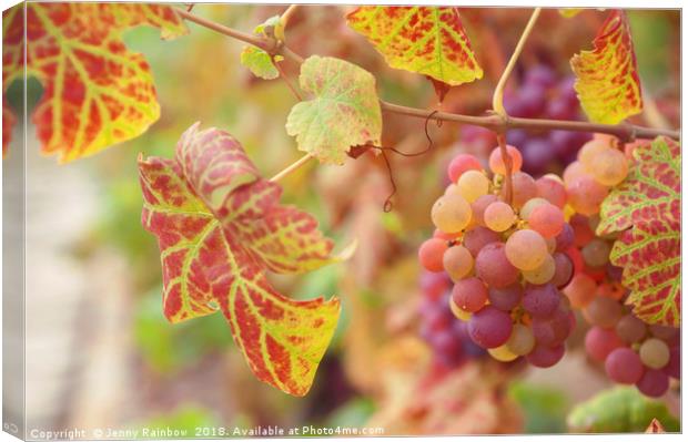 Juicy Taste Of Autumn. Red Grapes Clusters 8 Canvas Print by Jenny Rainbow