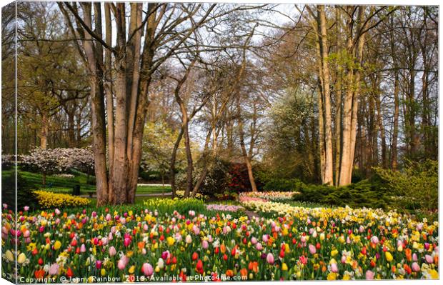 Colorful World of Keukenhof. Motley Flower Beds Canvas Print by Jenny Rainbow