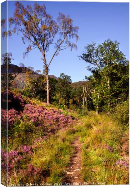 By The Path To Nature's Hugs Canvas Print by Jenny Rainbow