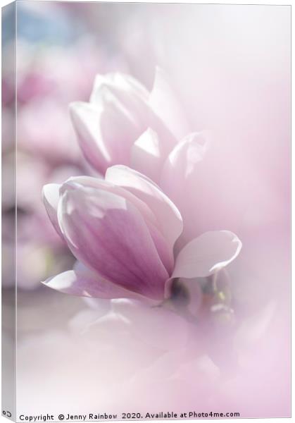 Dreamy  Blooms of Chinese Magnolia Canvas Print by Jenny Rainbow