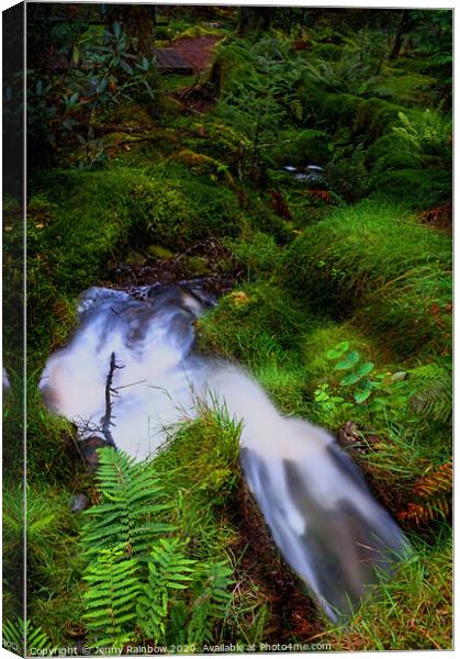 Forest Stream in Benmore Botanic Garden Canvas Print by Jenny Rainbow
