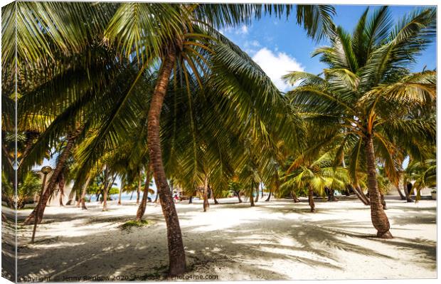 Palms. Palms. Palms. Maldivian Island Canvas Print by Jenny Rainbow