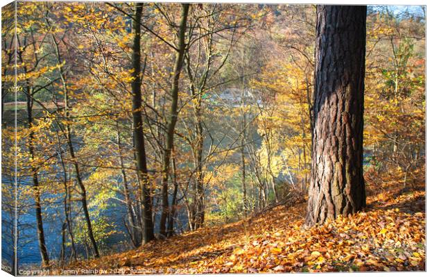 Autumn Silent Hill Canvas Print by Jenny Rainbow