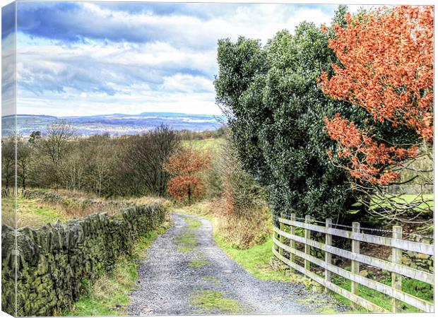 A country lane in autumn Canvas Print by Mike Dickinson