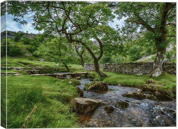  Malham Cove brook Canvas Print by Mike Dickinson