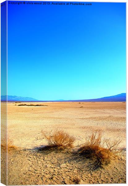 Life in Death (valley) Canvas Print by chris wood