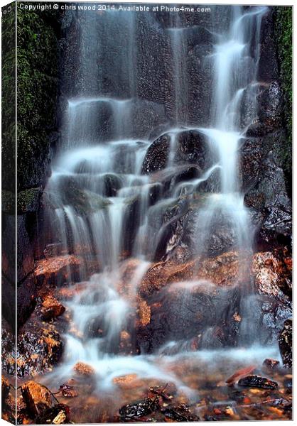 Kennel Vale Falls Canvas Print by chris wood