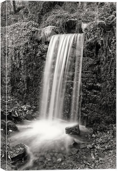 Woodland waterfall B&W Canvas Print by Steve Cowe