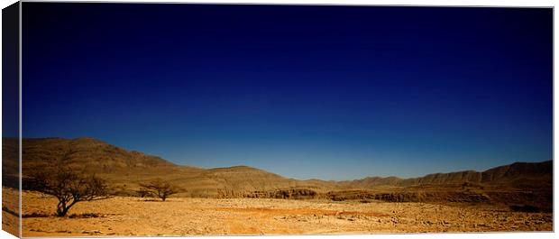 Deep Blue Desert Sky Canvas Print by Steve Cowe