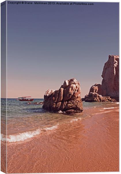 Cabo Canvas Print by Diane  Mohlman