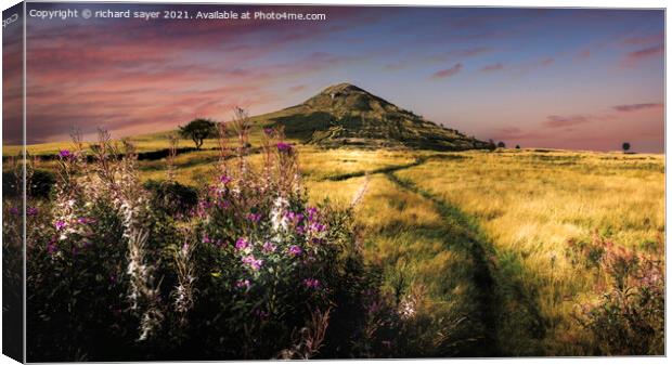Golden Fields of Roseberry Topping Canvas Print by richard sayer