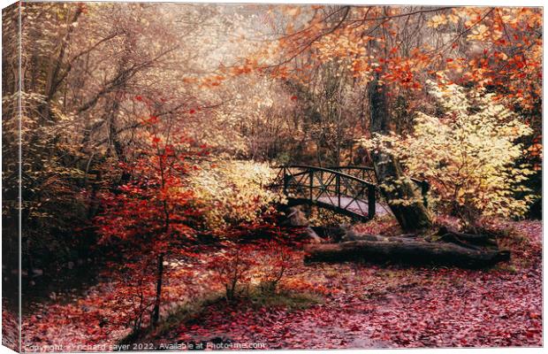 Autumn Bridge Canvas Print by richard sayer