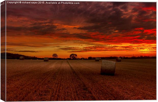  Field of Fire Canvas Print by richard sayer