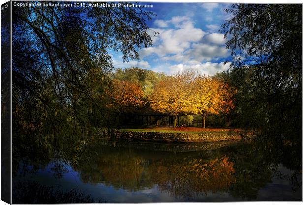  Autumns Touch Canvas Print by richard sayer