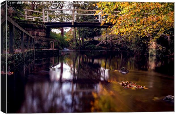  Autumnal Tranquility Canvas Print by richard sayer