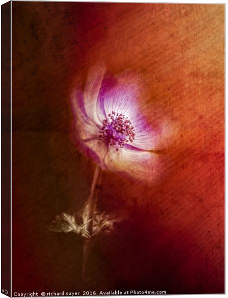 Abstract Anemone Canvas Print by richard sayer