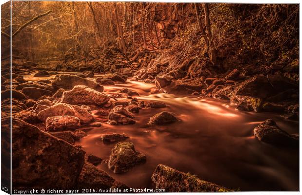 Red River Canvas Print by richard sayer