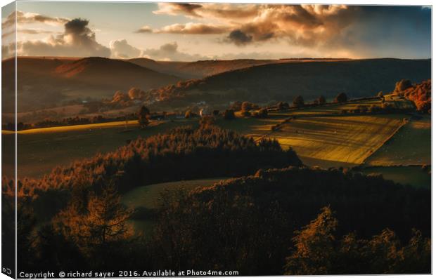 Vale of Autumn Canvas Print by richard sayer