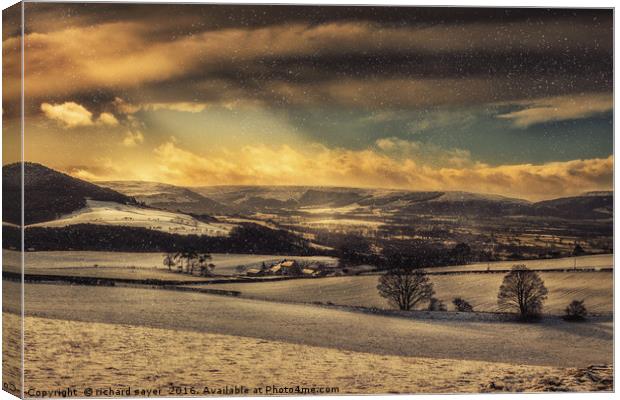 Winterscape Canvas Print by richard sayer