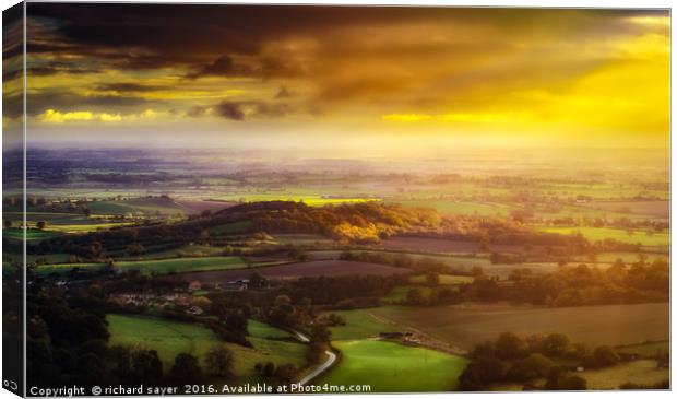 Weaving Gold Canvas Print by richard sayer