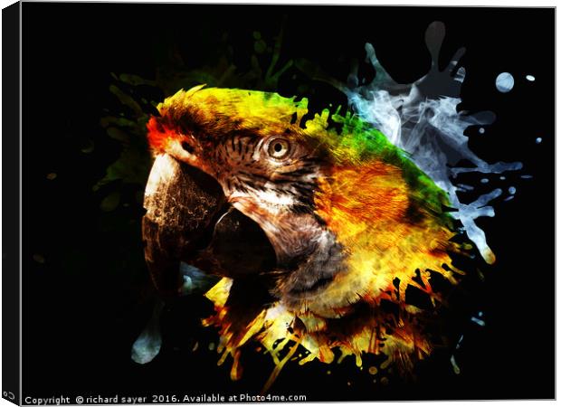 Parrot Splatter Canvas Print by richard sayer