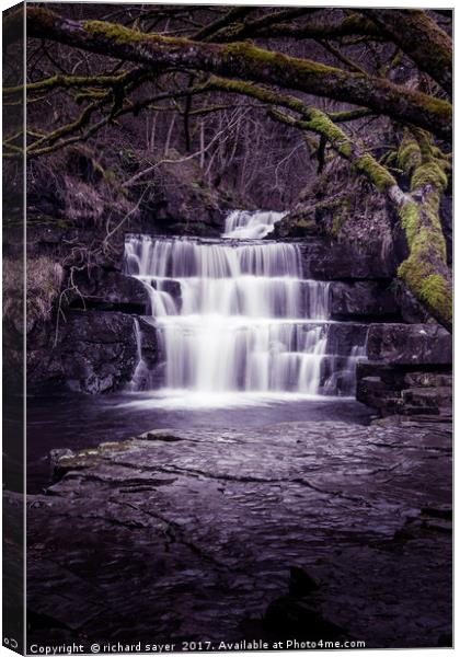 Summerhill Force Canvas Print by richard sayer
