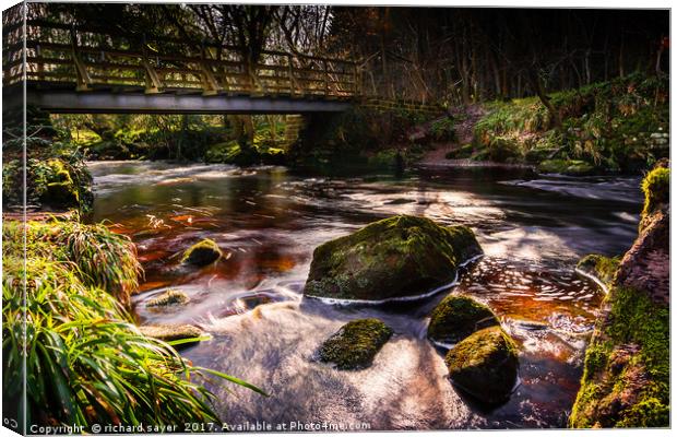 West Beck Canvas Print by richard sayer